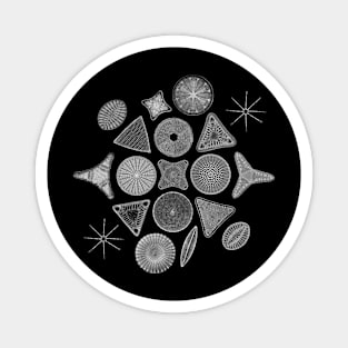 Monochromatic Diatoms Magnet